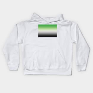 Aromantic Pride Flag Gradient Kids Hoodie